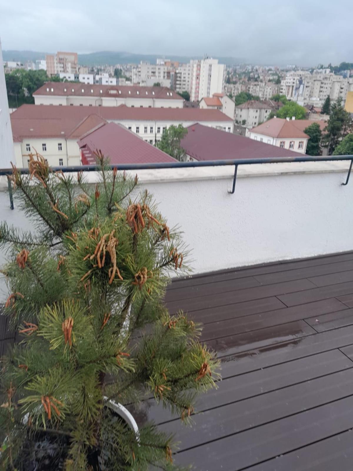 Cristinco Panoramic Διαμέρισμα Κλουζ-Ναπόκα Εξωτερικό φωτογραφία